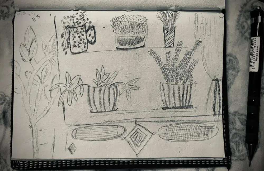 A pencil sketch of potted plants along a windowsill, in an open sketchbook